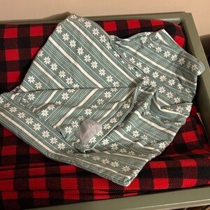 Cozy Green and White Striped nursing cover